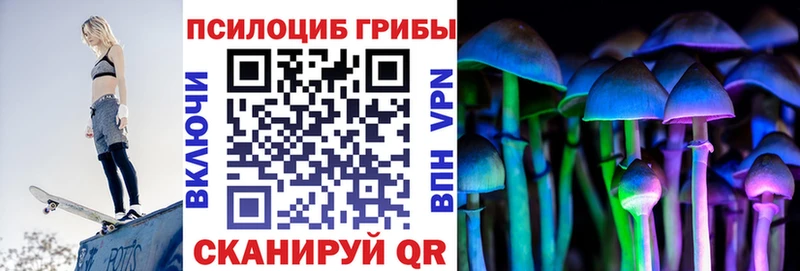 Псилоцибиновые грибы Cubensis Олёкминск